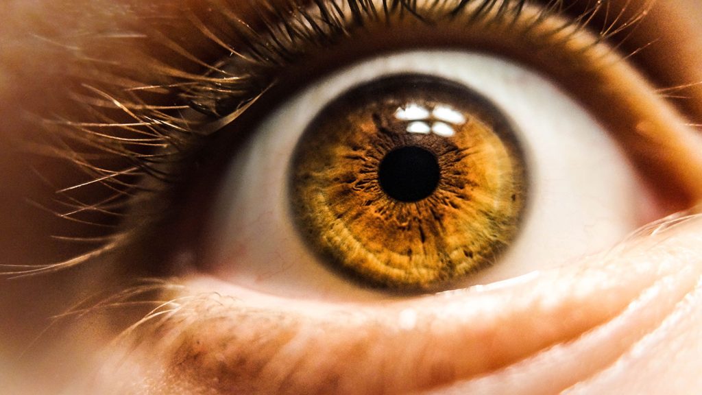 contact-lens-wearer